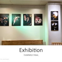 Exhibition Installation